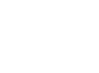BSI-03